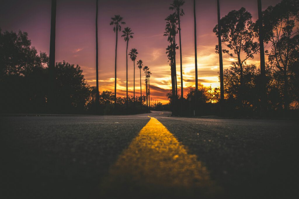 A palm-lined road stretching toward a sunset
