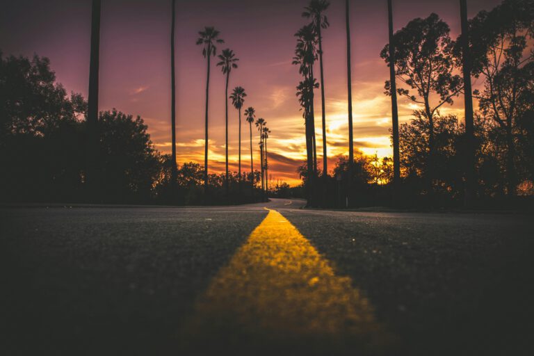 A palm-lined road stretching toward a sunset