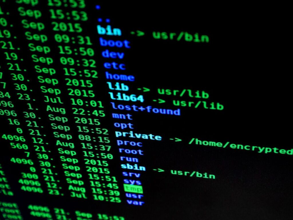 Lines of code on a screen representing cybersecurity work