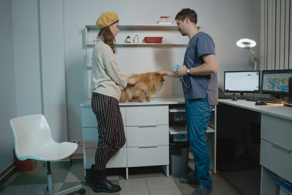 Pet owner and veterinarian talking over a small dog on the exam table