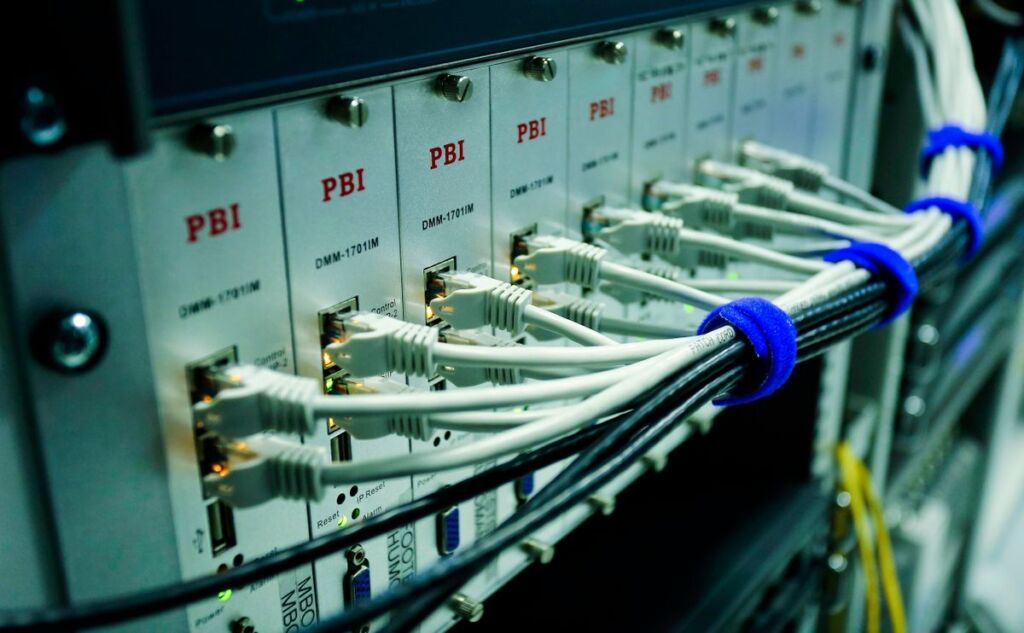 Ethernet cables plugged into a network switch